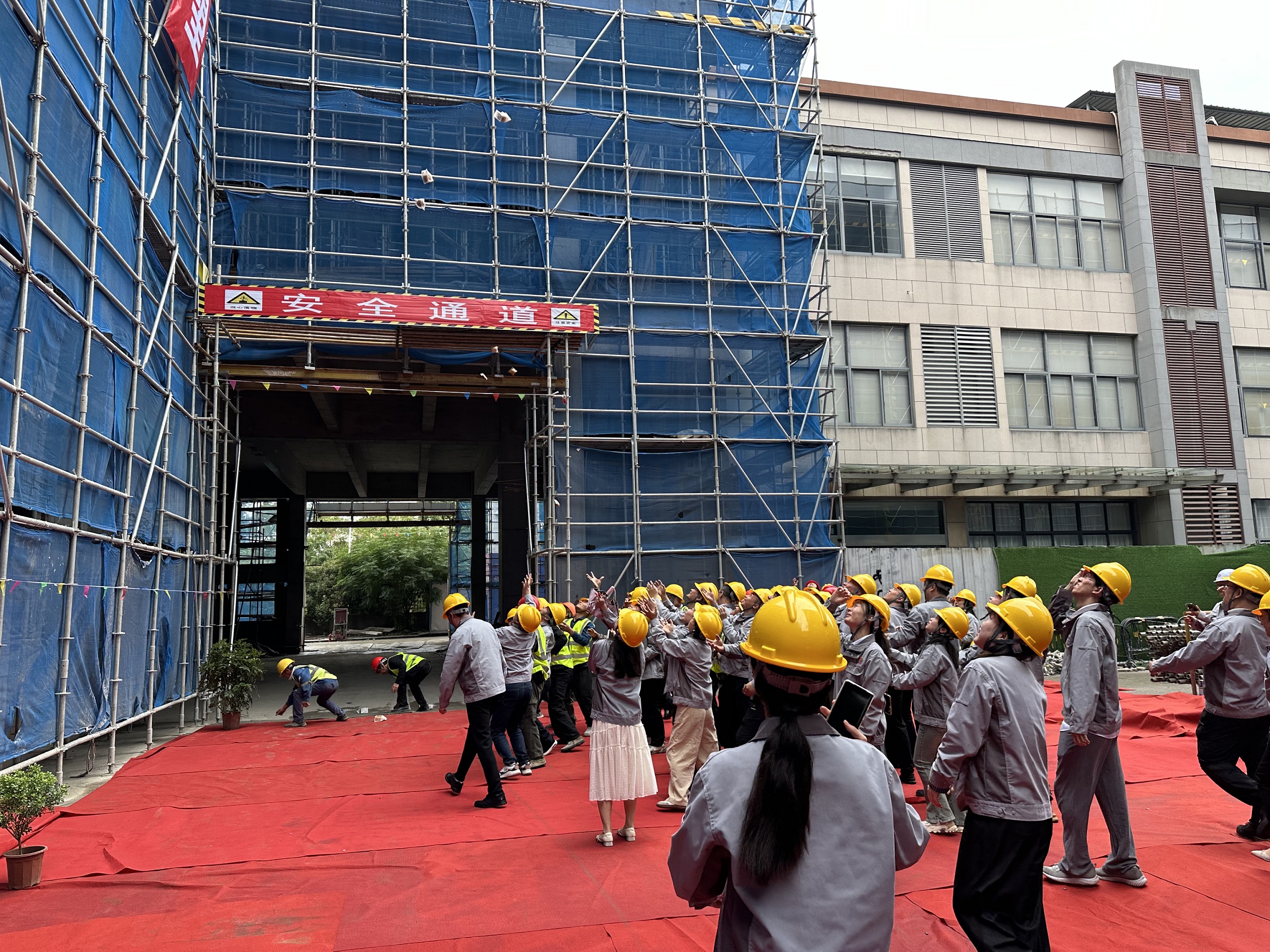 67490bb0dd949.jpg 67490bb0dd949.jpg